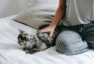 Ensemble pyjama chat