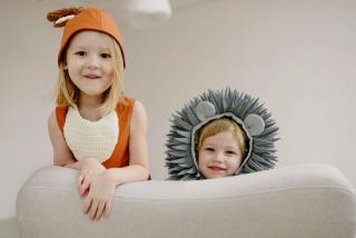 Costume lion : cadeau chat original sur Chat Bada