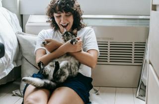 Hamac chat radiateur électrique