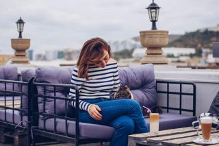 Pull imprimé chat