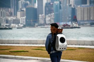 Sac chat astronaute : cadeau chat original sur Chat Bada