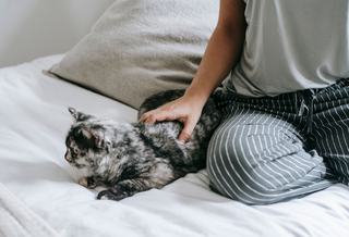 Ensemble pyjama chat