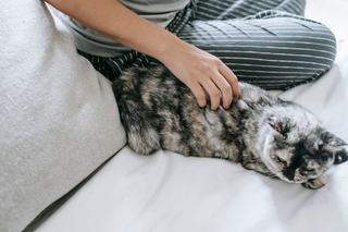 Combinaison pyjama chat adulte