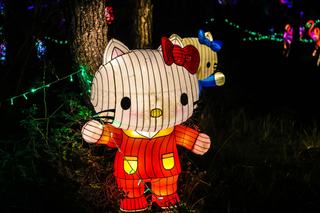 Chat lumineux