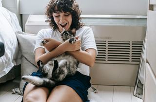 Hamac chat radiateur électrique