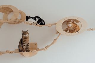 Arbre à chat design