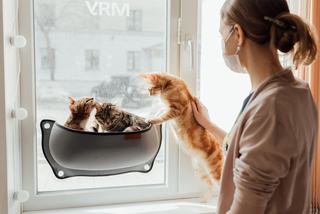 Sac transport chat bulle voiture