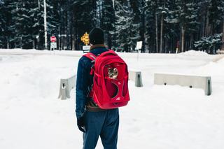 Sac à dos bulle chat