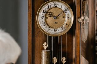 Horloge arbre