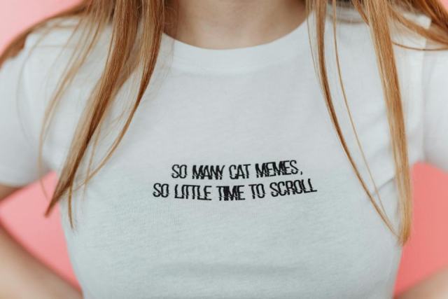 Tee shirt humour chat femme : détail produit et avis