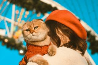 Habit pour chat : cadeau chat original sur Chat Bada