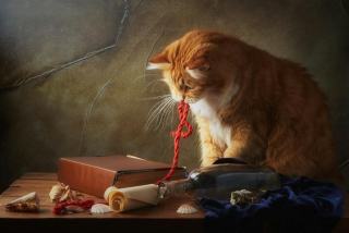Tableau chat classique : cadeau chat original sur Chat Bada