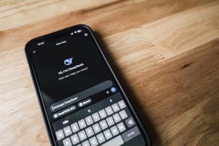 Hamac pour chat : selection originale sur Chat Bada