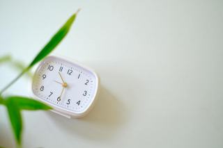 Horloge chien | Chat Bada