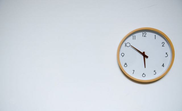 Horloge murale animaux : détail produit et avis