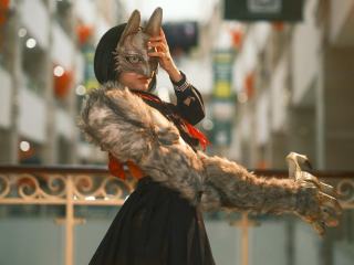 Masques de chats : sélection originale sur Chat Bada