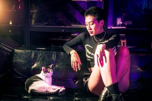 Masque chat cuir : l'accessoire chat qu'il vous faut