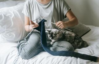 Pyjama le chat en solde : cadeau chat original sur Chat Bada