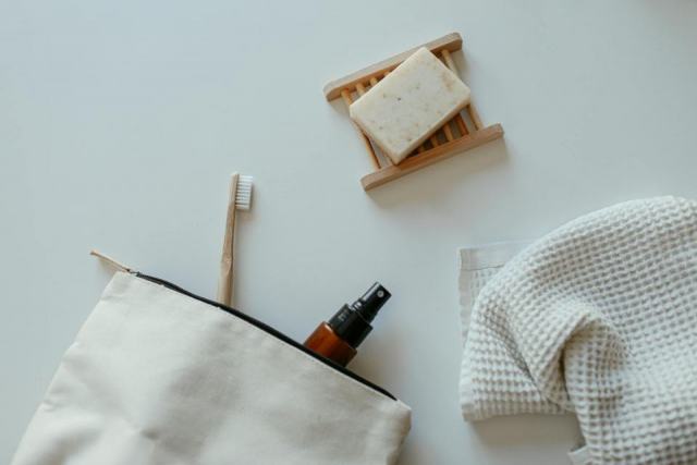 Trousse de toilette chat : détail produit et avis Trousse de toilette chat : détail produit et avis