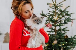 Pull femme chat | Chat Bada