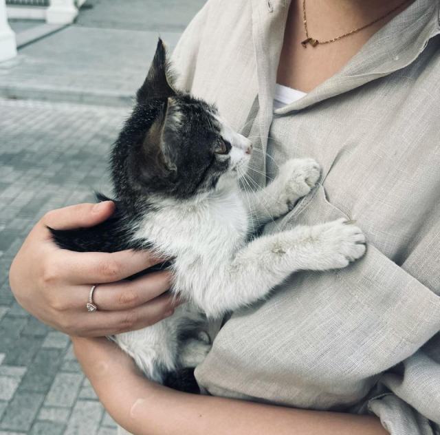 Bague karl lagerfeld : l'accessoire chat qu'il vous faut Bague karl lagerfeld : l'accessoire chat qu'il vous faut