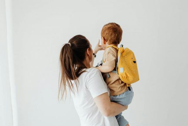 Cartable animaux : l'accessoire chat qu'il vous faut