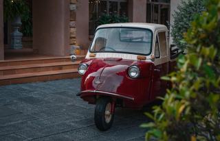 Chat collant : cadeau chat original sur Chat Bada