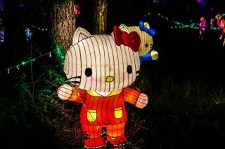 Chat lumineux : cadeau chat original sur Chat Bada