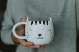 Chat mepuise mug : cadeau chat original sur Chat Bada