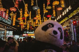 Costume panda : cadeau chat original sur Chat Bada