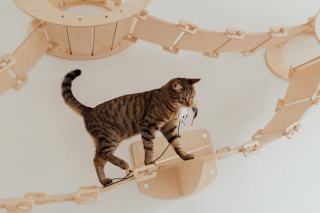 Couette chat : cadeau chat original sur Chat Bada