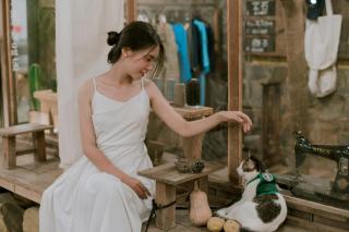 Deguisement pour chat starbucks | Chat Bada