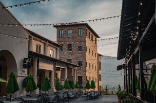 Arbre a chat cactus : cadeau chat original sur Chat Bada