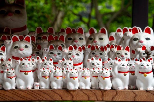 Masque chat japonais : l'accessoire chat qu'il vous faut