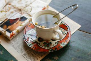 Infuseur the chat : cadeau chat original sur Chat Bada