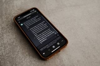 Infuseur the chat : cadeau chat original sur Chat Bada