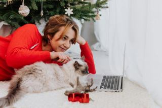 Pull avec poche pour chat : cadeau chat original sur Chat Bada