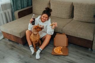 Pull pizza : cadeau chat original sur Chat Bada