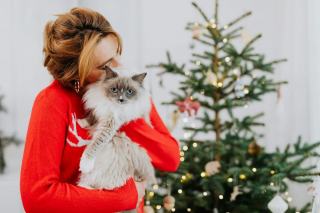 Pull chat femme : cadeau chat original sur Chat Bada