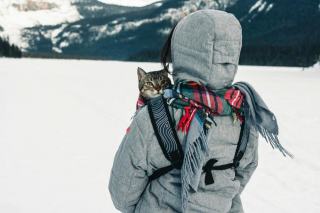 Sac a dos chat transparent : cadeau chat original sur Chat Bada