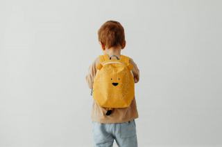 Sac a dos minion : cadeau chat original sur Chat Bada
