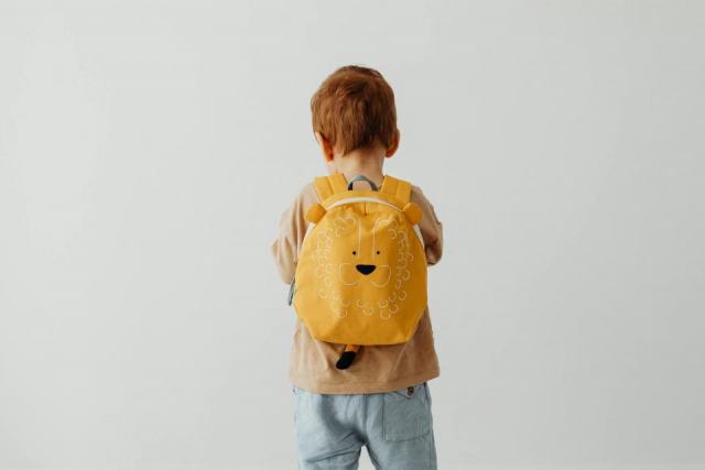 Sac a dos minion : l'accessoire chat qu'il vous faut