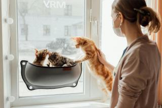 Sac bulle chat : cadeau chat original sur Chat Bada