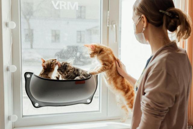 Sac bulle chat : l'accessoire chat qu'il vous faut