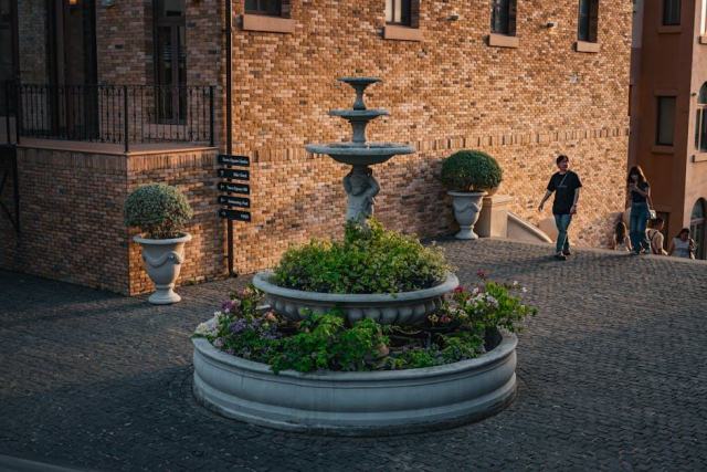 T shirt doigt d honneur : l'accessoire chat qu'il vous faut
