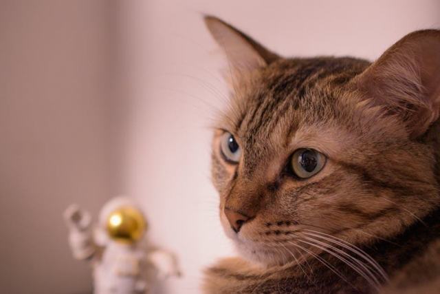 Tee shirt astronaute : détail produit et avis