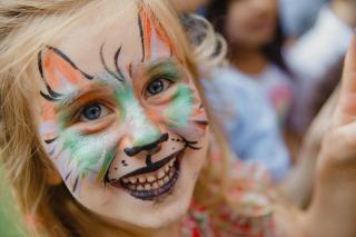 Maquillage chat : cadeau chat original sur Chat Bada