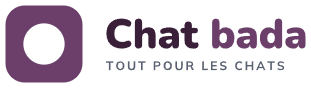 Chat bada